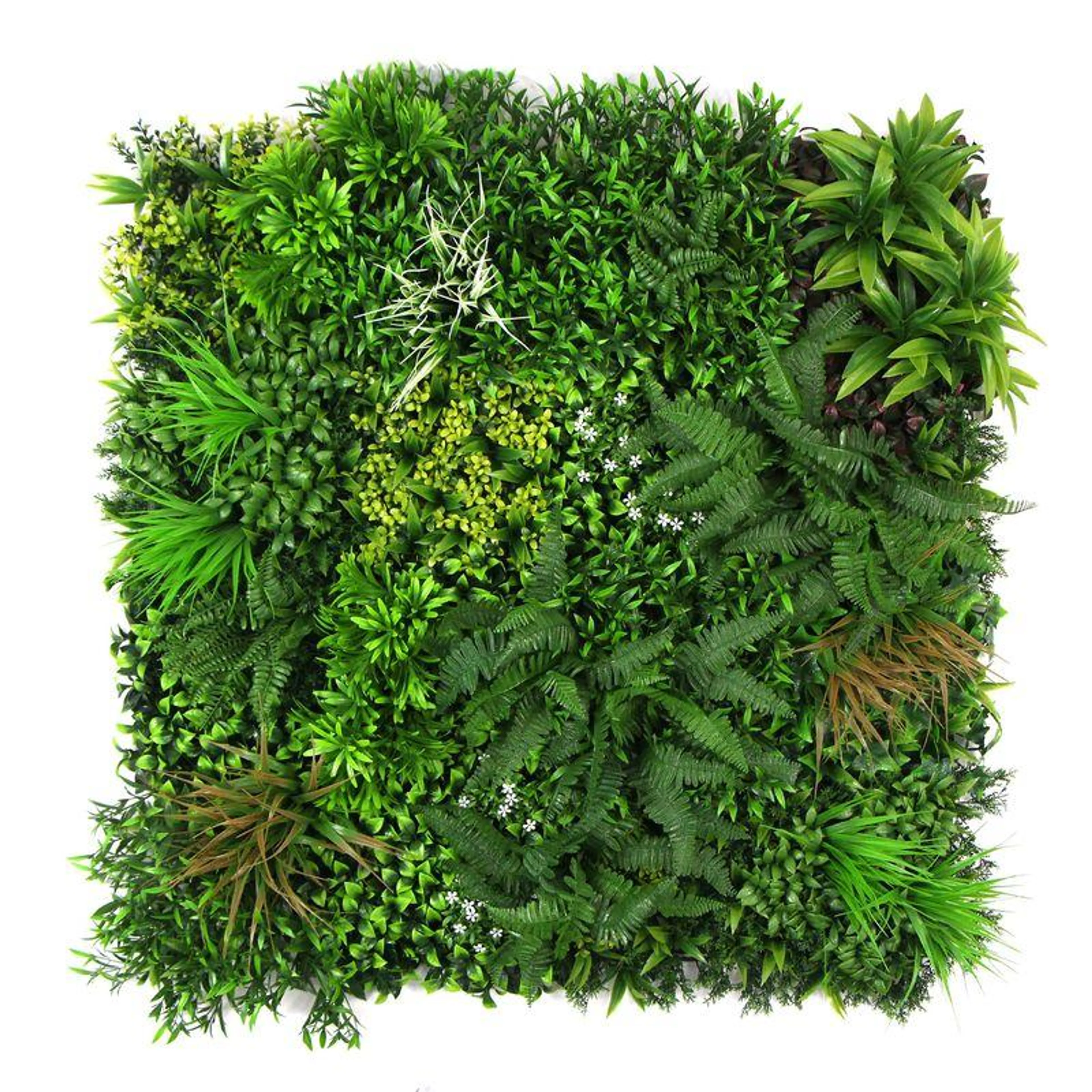 Pasto Mural Superior Green Element 100x100 cm