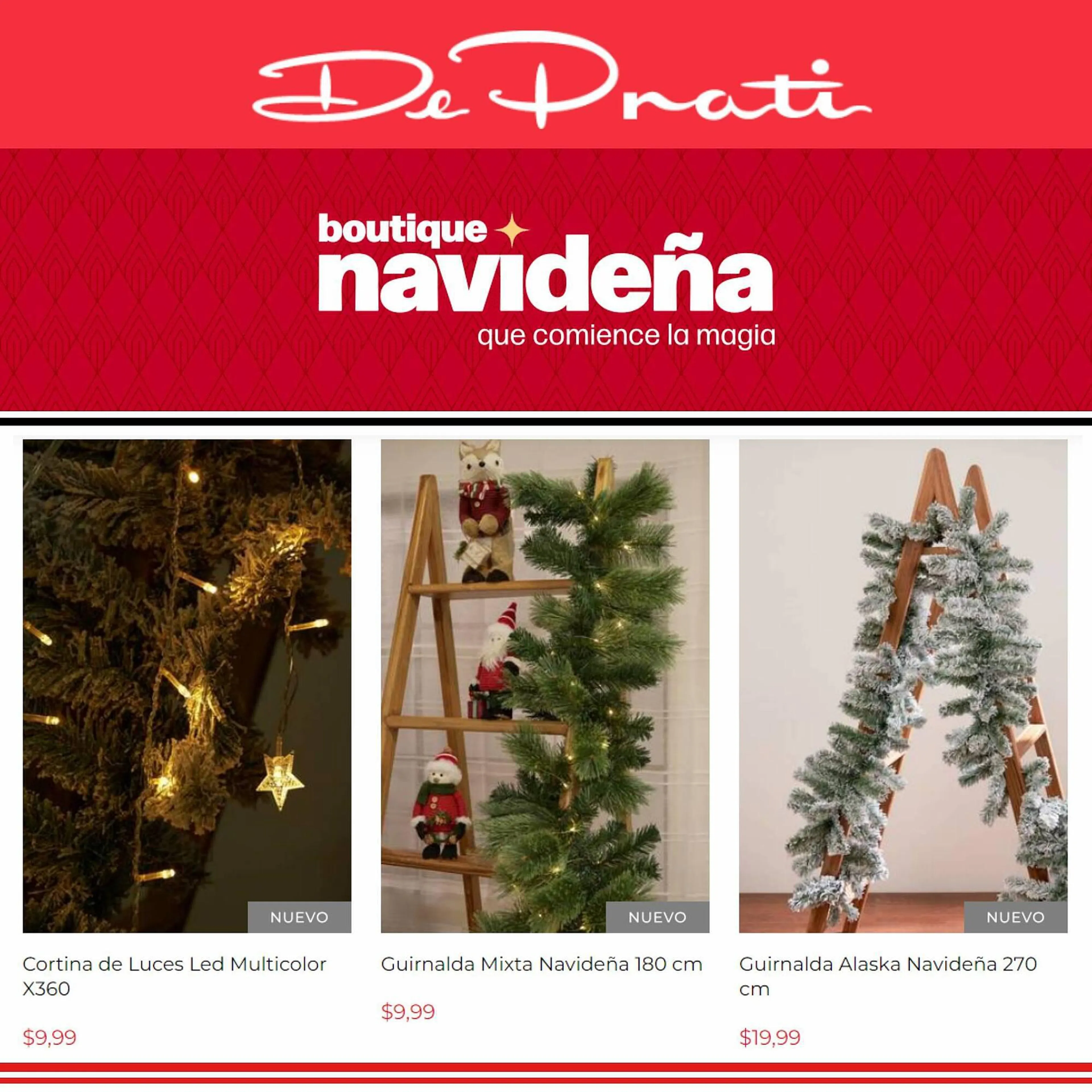 Brochure Cover