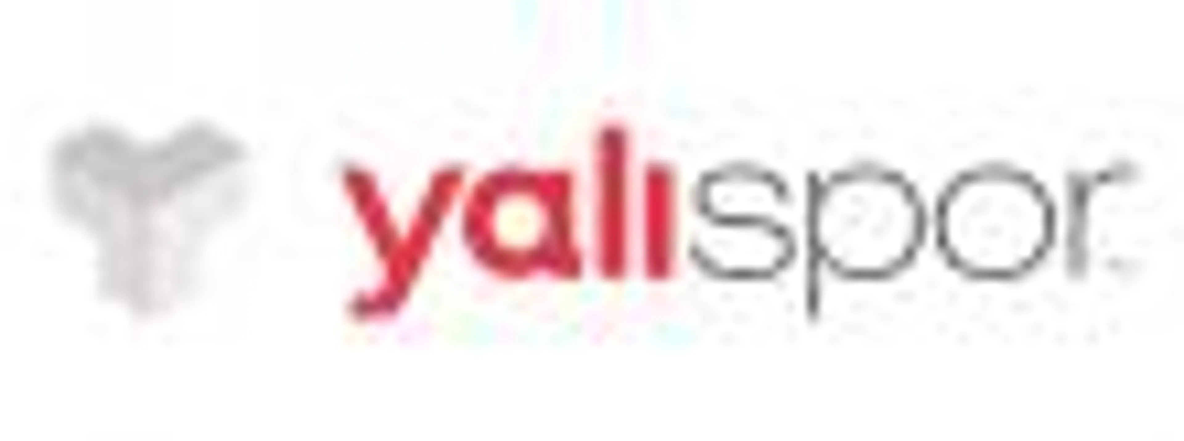 YALI SPOR logo