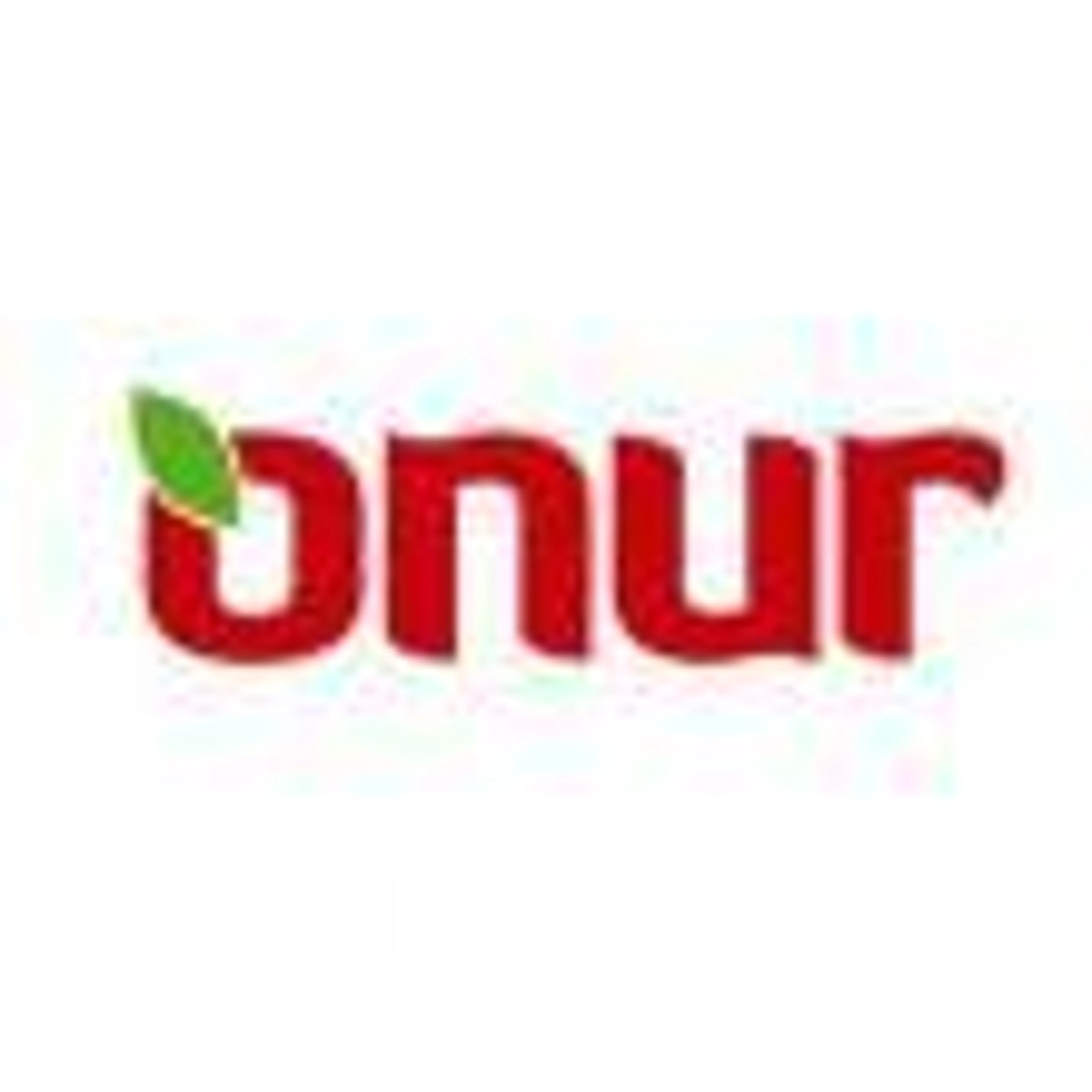 ONUR MARKET logo