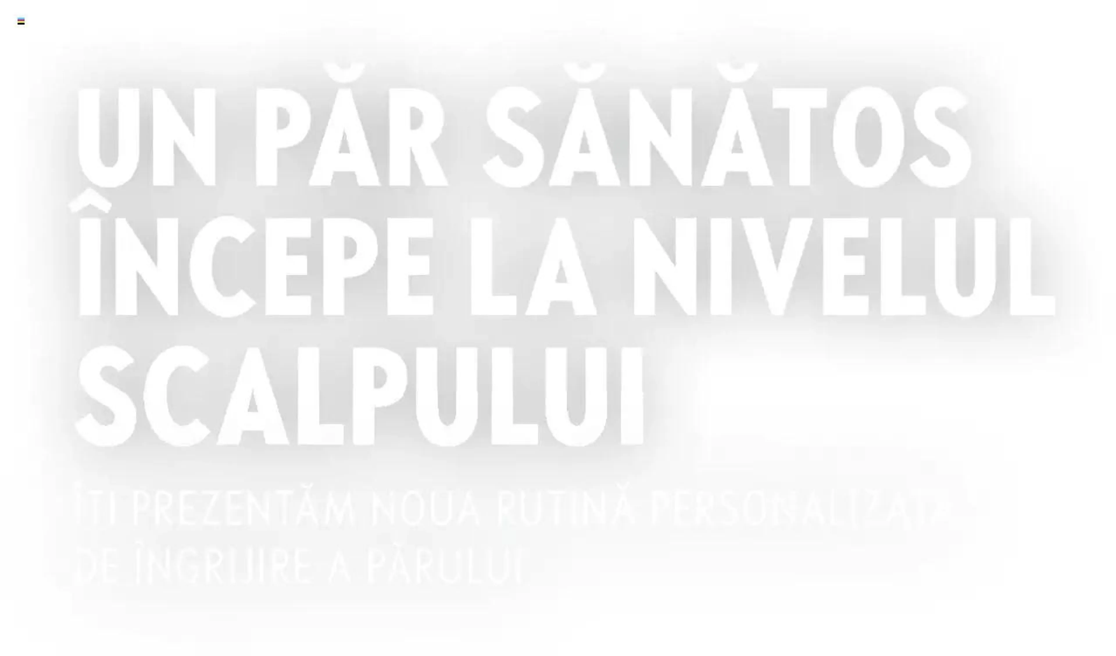 Brochure Cover