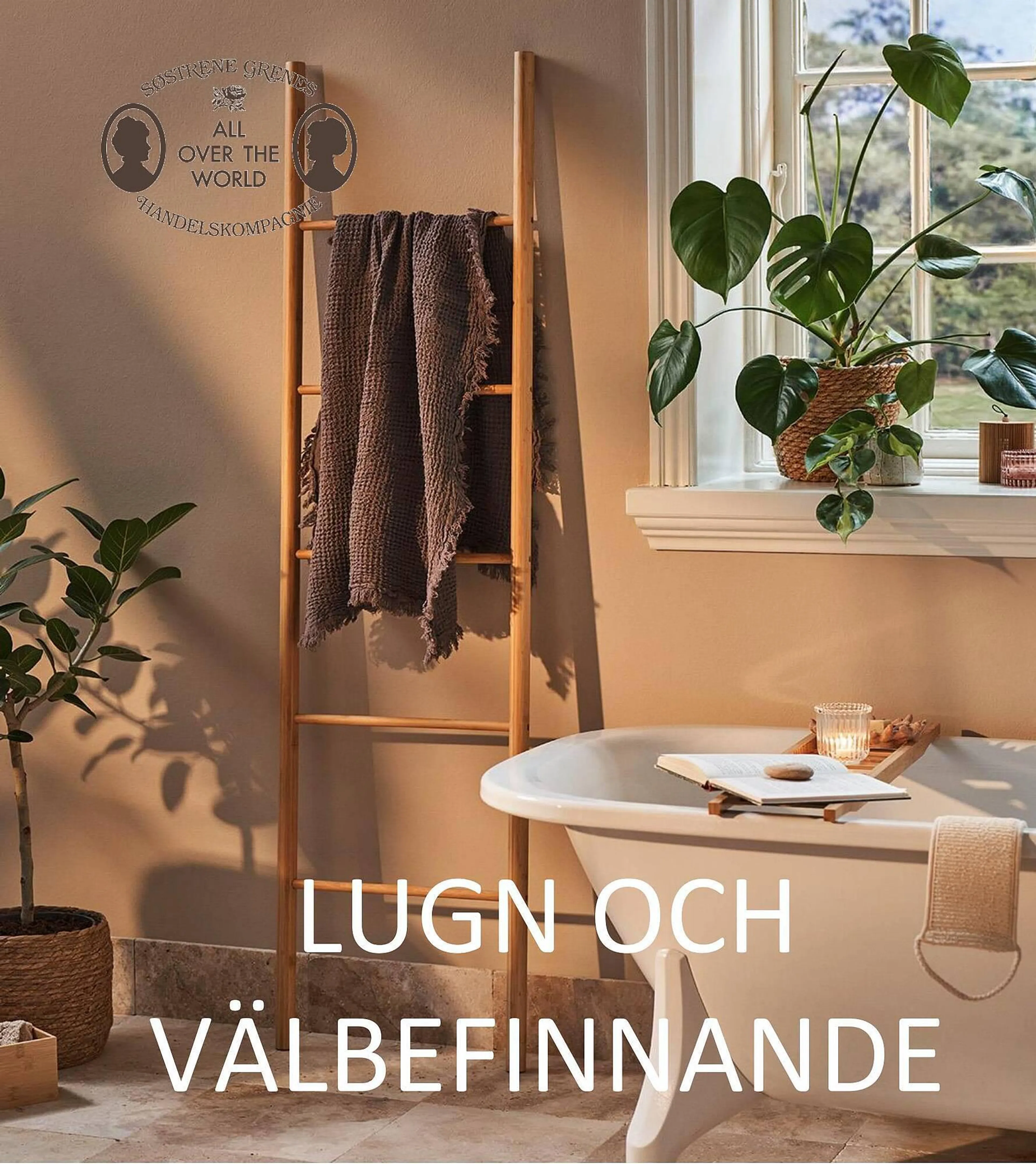 Brochure Cover