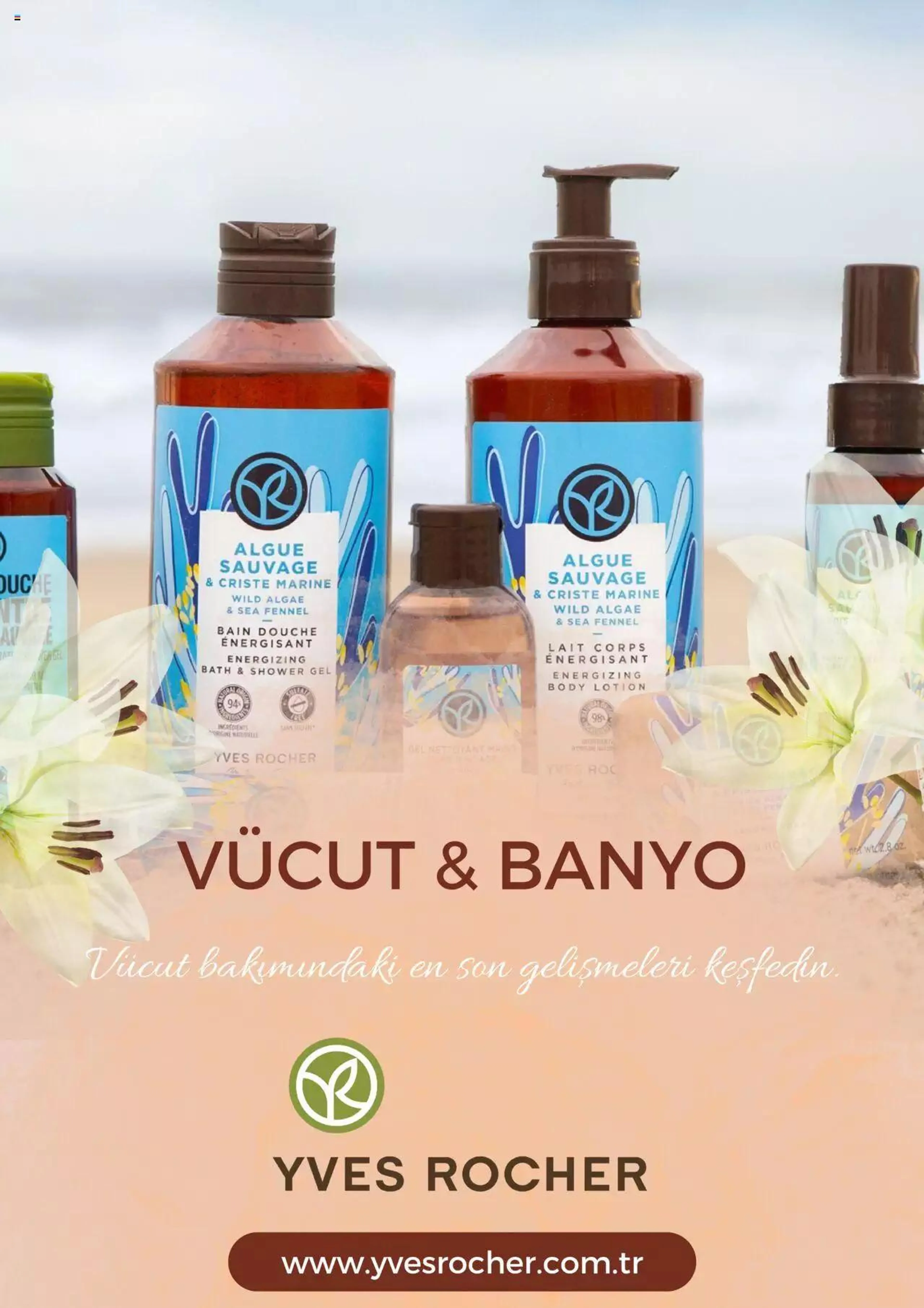 Brochure Cover