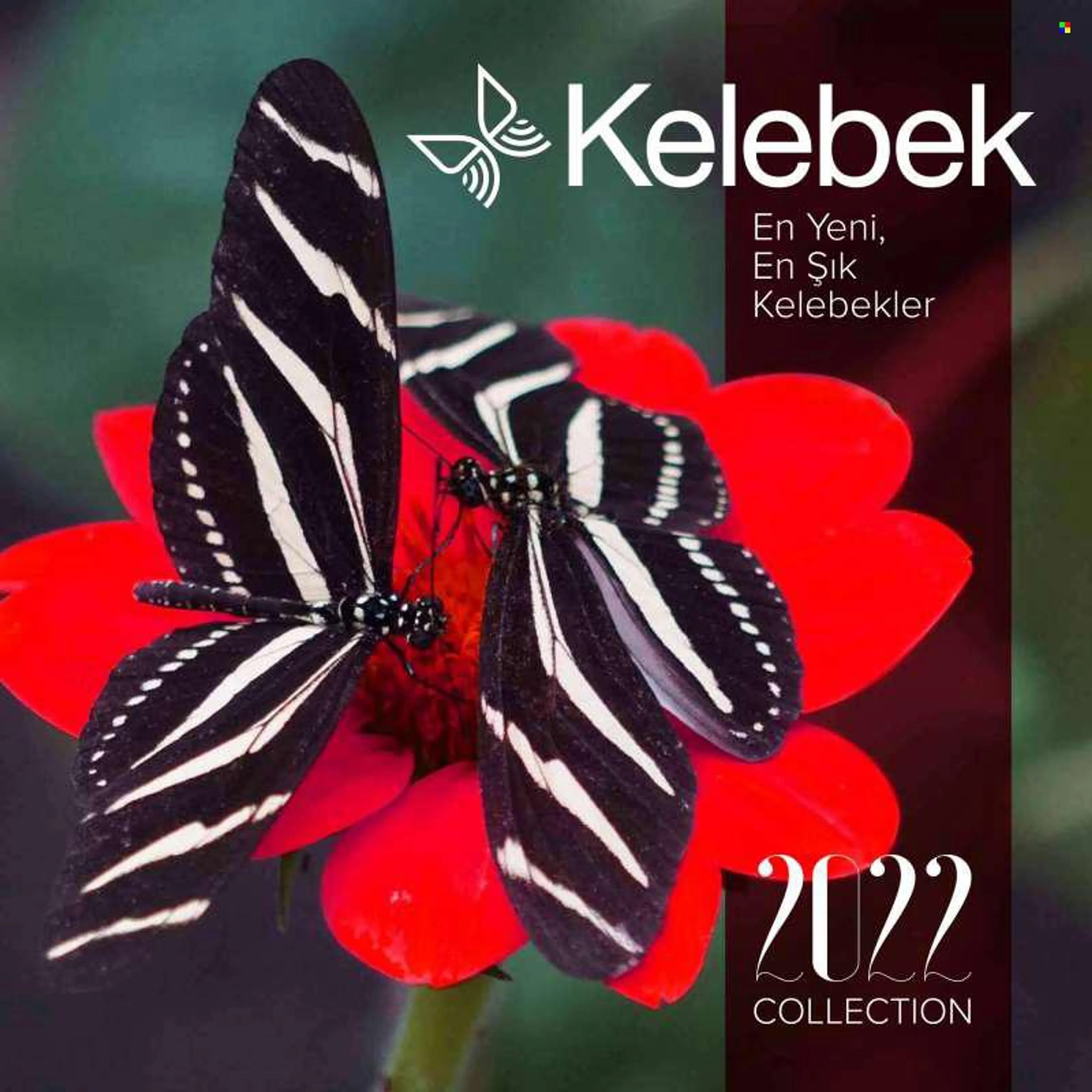 Brochure Cover