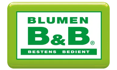 Blumen B&B