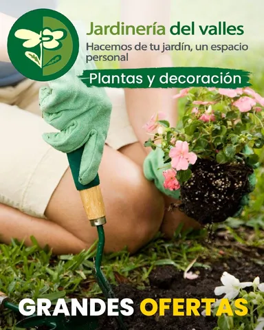 Jardinería del Vallés - Plantas y decoracion