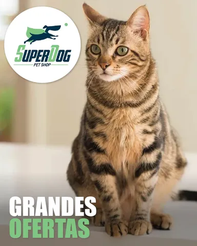 Super Dog Pet Shop - Gatos