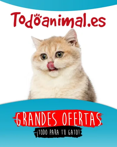 TodoAnimal - Mascotas gatos