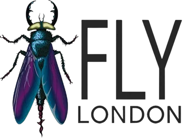 Fly London