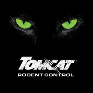 Tomcat