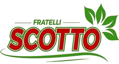 Supermercato Fratelli Scotto