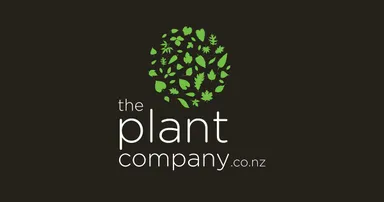 The Plant Company