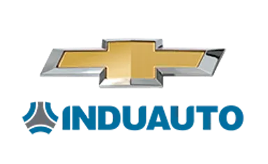 Induauto